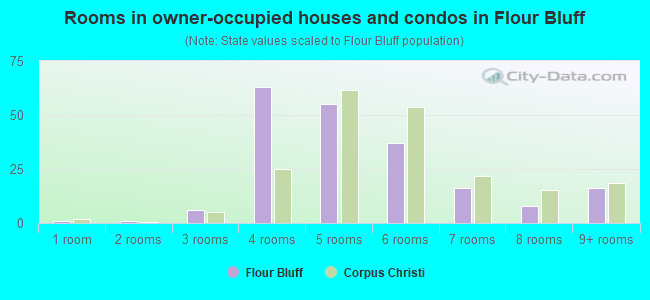Rooms in owner-occupied houses and condos in Flour Bluff
