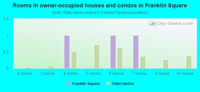 Rooms in owner-occupied houses and condos in Franklin Square