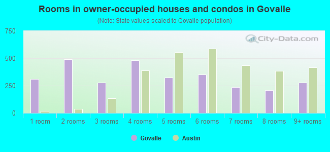 Rooms in owner-occupied houses and condos in Govalle