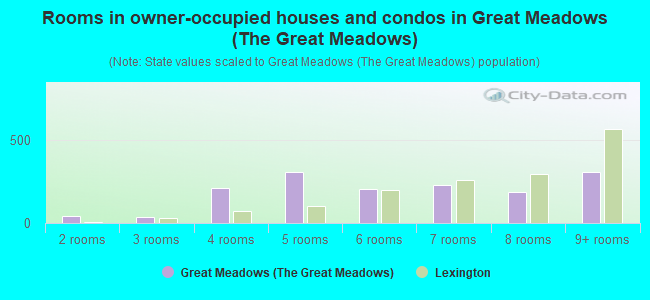 Rooms in owner-occupied houses and condos in Great Meadows (The Great Meadows)