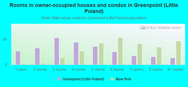 Rooms in owner-occupied houses and condos in Greenpoint (Little Poland)