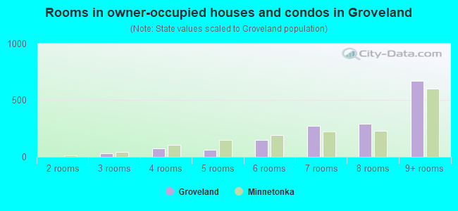 Rooms in owner-occupied houses and condos in Groveland
