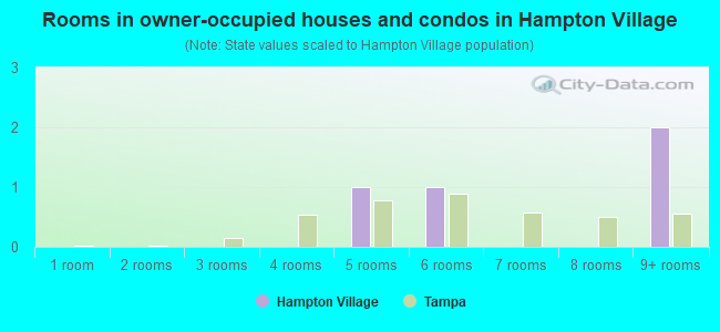 Rooms in owner-occupied houses and condos in Hampton Village