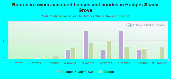 Rooms in owner-occupied houses and condos in Hodges Shady Grove