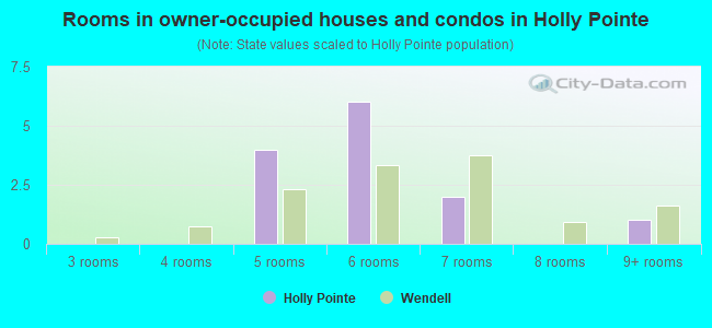 Rooms in owner-occupied houses and condos in Holly Pointe