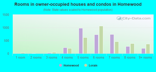 Rooms in owner-occupied houses and condos in Homewood