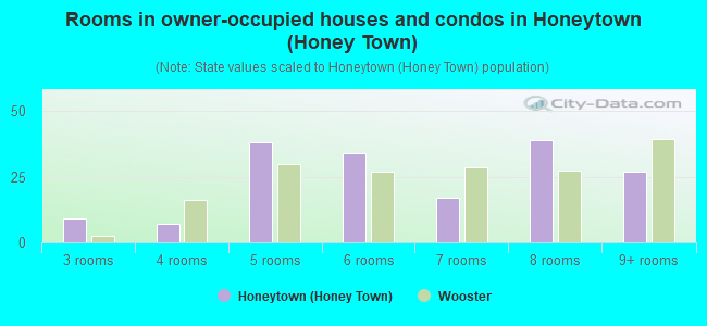 Rooms in owner-occupied houses and condos in Honeytown (Honey Town)