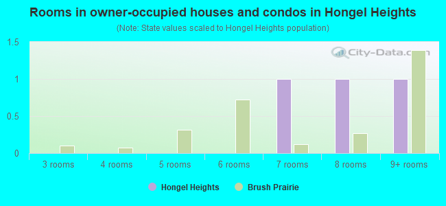 Rooms in owner-occupied houses and condos in Hongel Heights