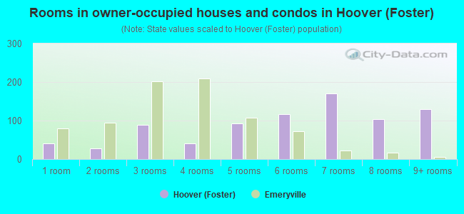 Rooms in owner-occupied houses and condos in Hoover (Foster)