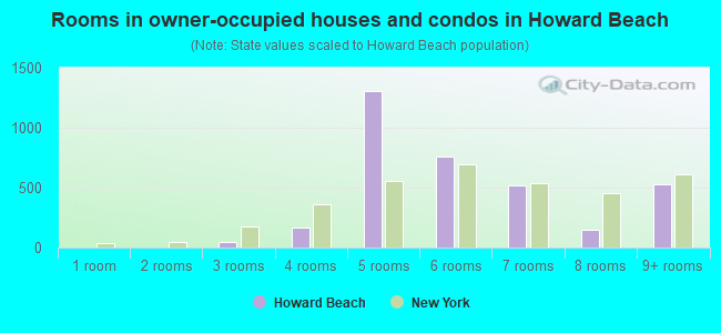 Rooms in owner-occupied houses and condos in Howard Beach