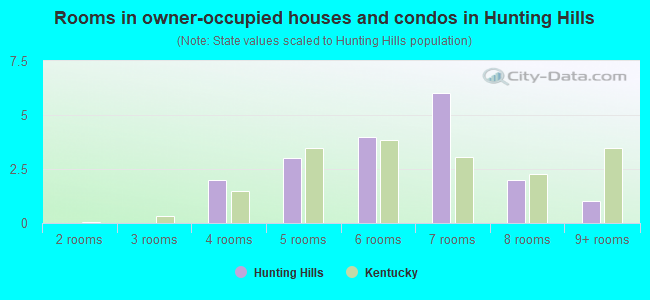 Rooms in owner-occupied houses and condos in Hunting Hills