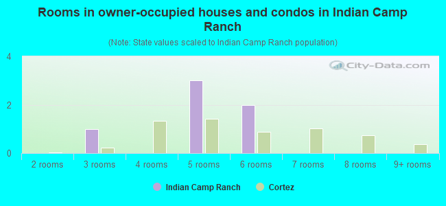 Rooms in owner-occupied houses and condos in Indian Camp Ranch