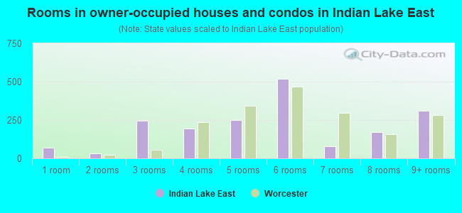 Rooms in owner-occupied houses and condos in Indian Lake East