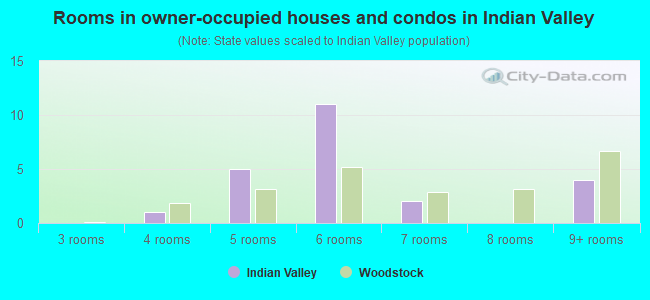 Rooms in owner-occupied houses and condos in Indian Valley