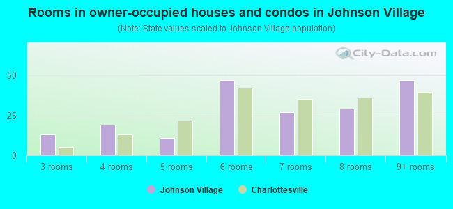 Rooms in owner-occupied houses and condos in Johnson Village