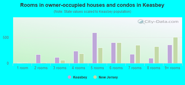Rooms in owner-occupied houses and condos in Keasbey
