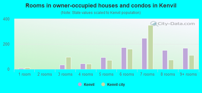 Rooms in owner-occupied houses and condos in Kenvil