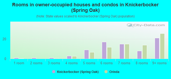 Rooms in owner-occupied houses and condos in Knickerbocker (Spring Oak)