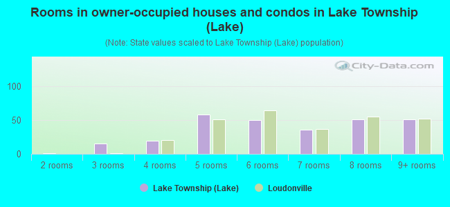 Rooms in owner-occupied houses and condos in Lake Township (Lake)