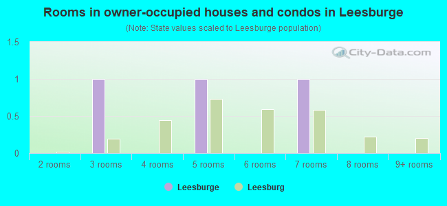 Rooms in owner-occupied houses and condos in Leesburge