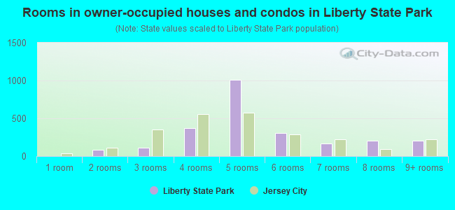 Rooms in owner-occupied houses and condos in Liberty State Park