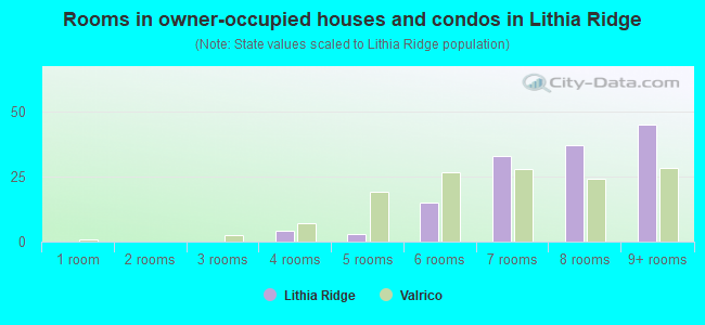 Rooms in owner-occupied houses and condos in Lithia Ridge