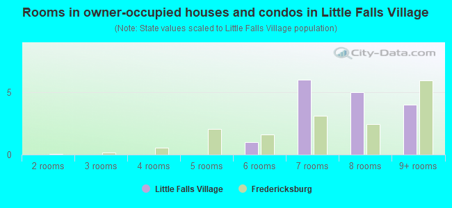 Rooms in owner-occupied houses and condos in Little Falls Village