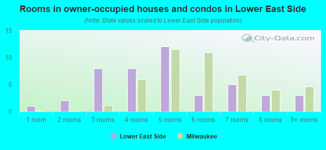 Rooms in owner-occupied houses and condos in Lower East Side