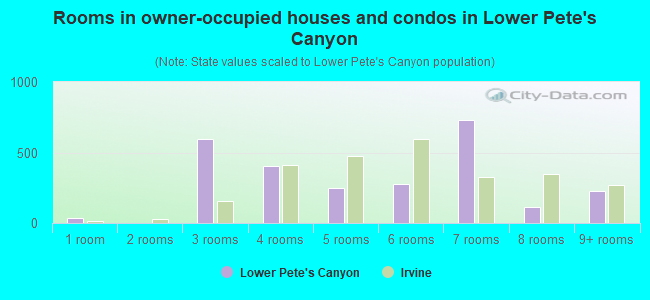Rooms in owner-occupied houses and condos in Lower Pete's Canyon