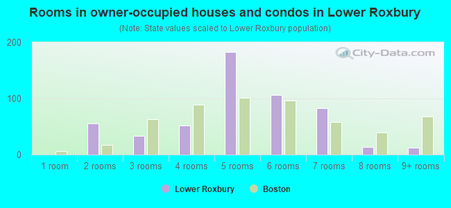 Rooms in owner-occupied houses and condos in Lower Roxbury