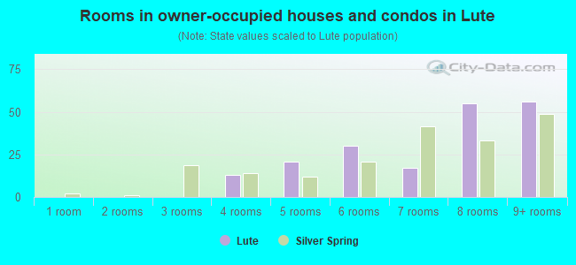 Rooms in owner-occupied houses and condos in Lute