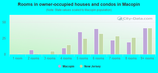 Rooms in owner-occupied houses and condos in Macopin