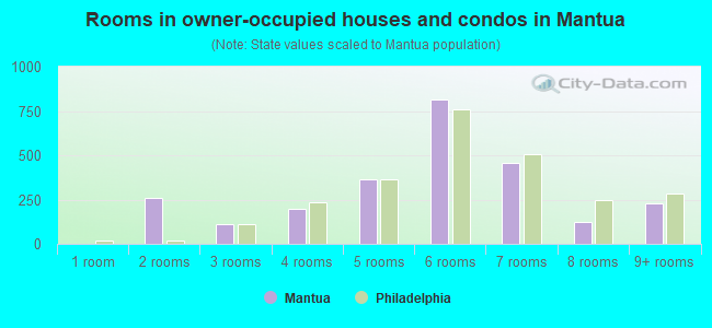 Rooms in owner-occupied houses and condos in Mantua