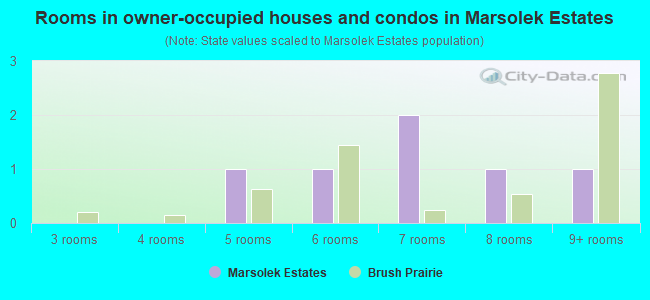 Rooms in owner-occupied houses and condos in Marsolek Estates