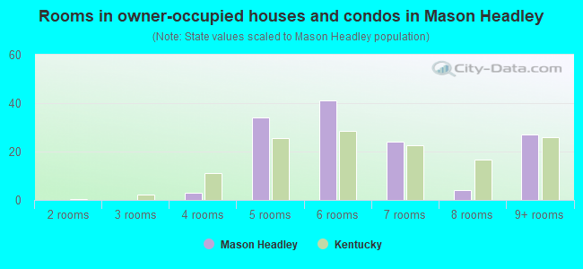 Rooms in owner-occupied houses and condos in Mason Headley