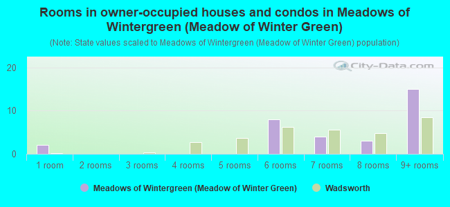 Rooms in owner-occupied houses and condos in Meadows of Wintergreen (Meadow of Winter Green)