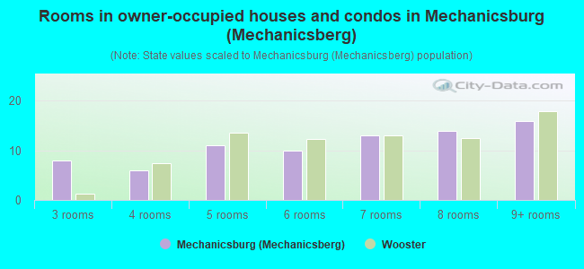 Rooms in owner-occupied houses and condos in Mechanicsburg (Mechanicsberg)
