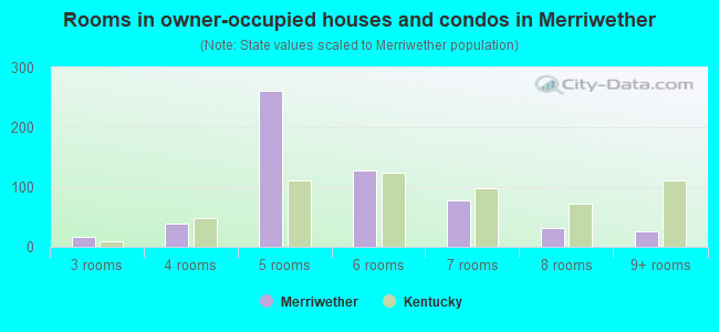Rooms in owner-occupied houses and condos in Merriwether