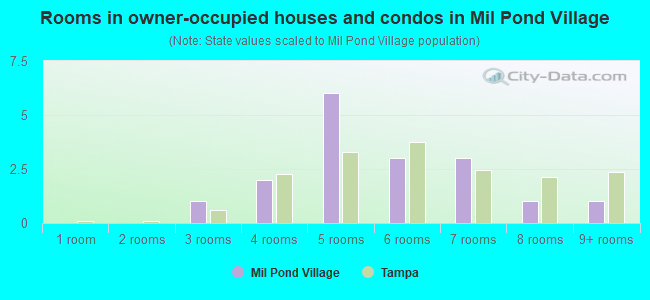 Rooms in owner-occupied houses and condos in Mil Pond Village