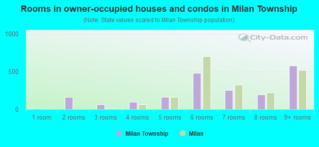 Rooms in owner-occupied houses and condos in Milan Township