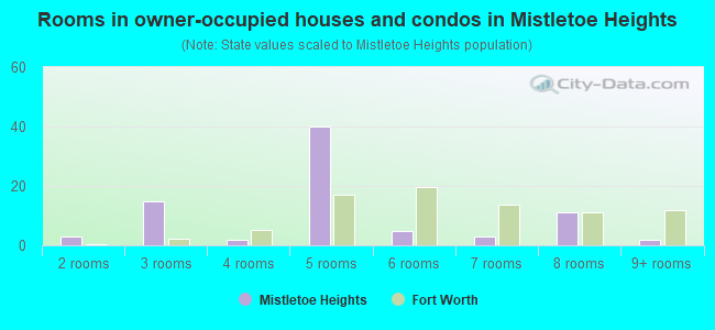 Rooms in owner-occupied houses and condos in Mistletoe Heights