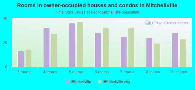 Rooms in owner-occupied houses and condos in Mitchellville