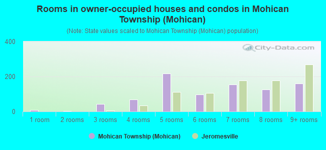 Rooms in owner-occupied houses and condos in Mohican Township (Mohican)