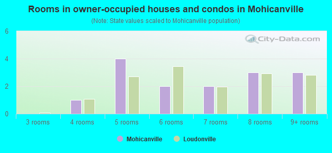 Rooms in owner-occupied houses and condos in Mohicanville