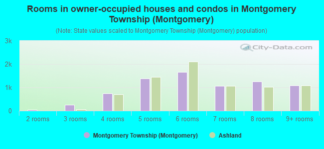 Rooms in owner-occupied houses and condos in Montgomery Township (Montgomery)