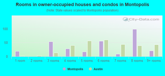 Rooms in owner-occupied houses and condos in Montopolis
