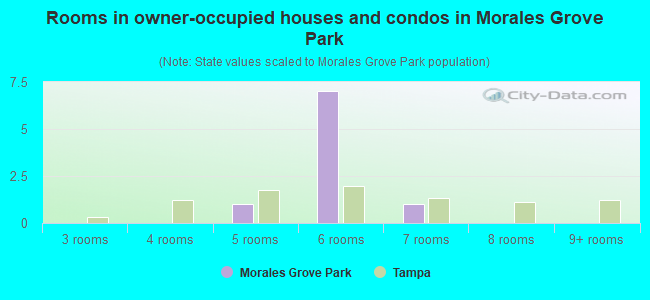 Rooms in owner-occupied houses and condos in Morales Grove Park