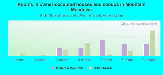 Rooms in owner-occupied houses and condos in Mountain Meadows