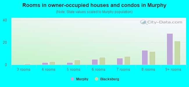 Rooms in owner-occupied houses and condos in Murphy