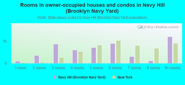 Rooms in owner-occupied houses and condos in Navy Hill (Brooklyn Navy Yard)